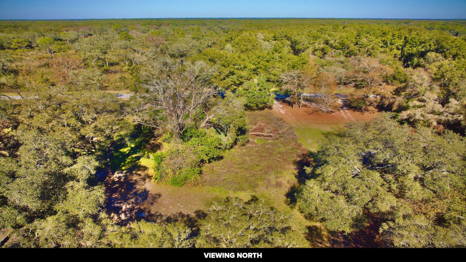 Land For Sale In Florida, 0.7 Acres In Levy County, FL – LandSelz ~ #1 ...